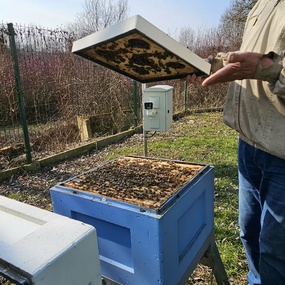 79db30c9-36df-4877-8e30-92ac7ced827f.jpg, Sezon pszczeli w ekospalarniowej pasiece