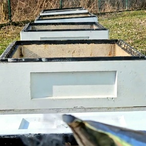 5c03f335-eebb-4f2c-a3bc-8823242e2960.jpg, Sezon pszczeli w ekospalarniowej pasiece