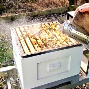 136c1a3b-30ff-4902-9b04-83b45ab33812.jpg, Sezon pszczeli w ekospalarniowej pasiece