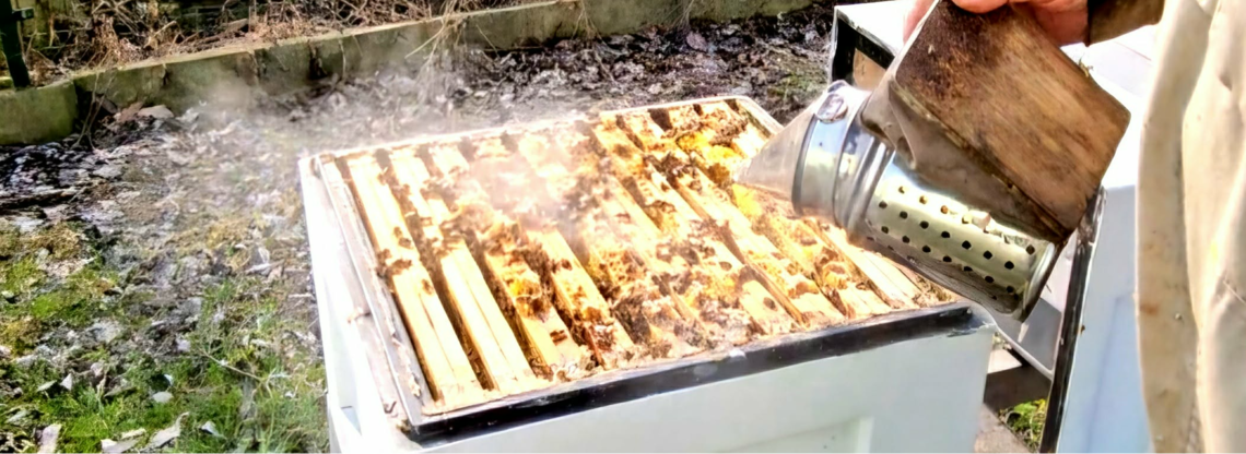 Sezon pszczeli w ekospalarniowej pasiece